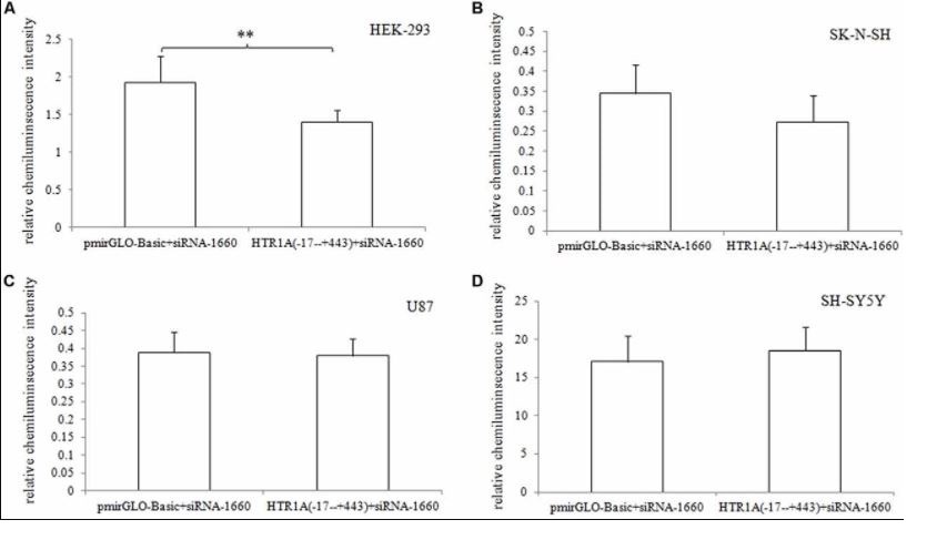 abm hsa mirna inhibitor