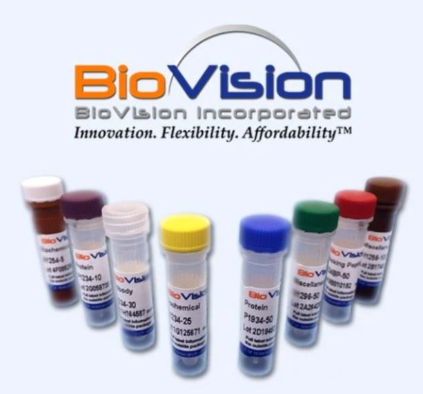 biovision anti m-cherry