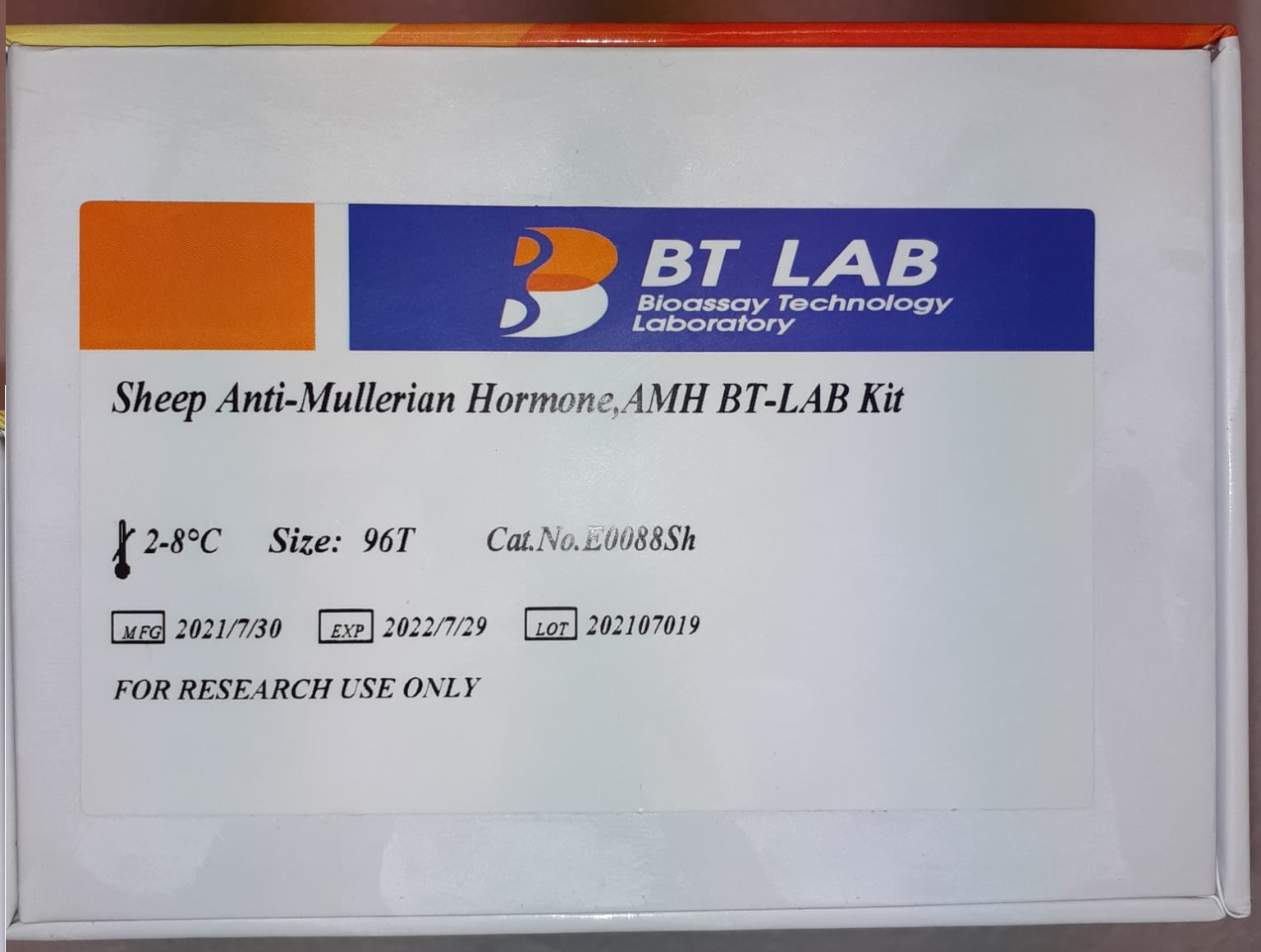 Anti-Müllerian hormone